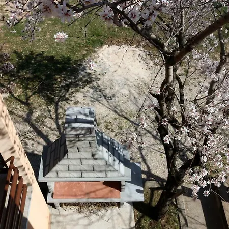 Toni Privlacka 32 * Zadar