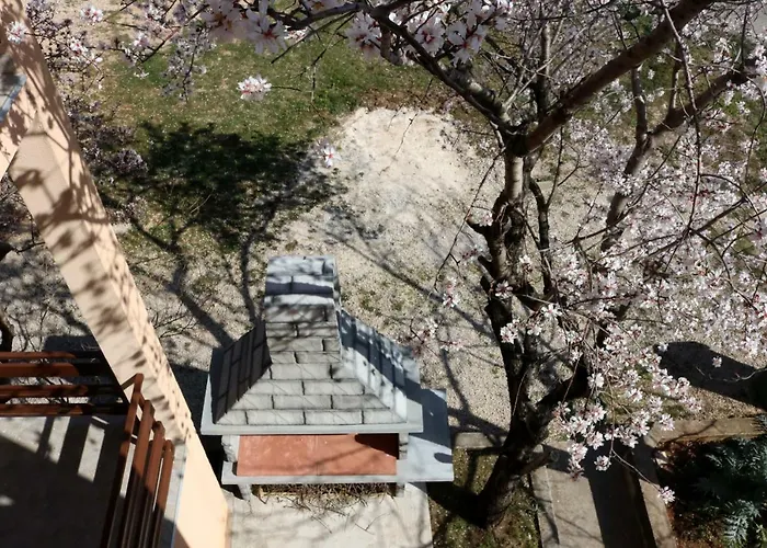 Toni Privlacka 32 * زادار